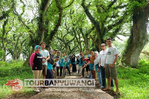 Jawatan Benculuk, Wisata hutan di Banyuwangi, Tempat wisata Banyuwangi